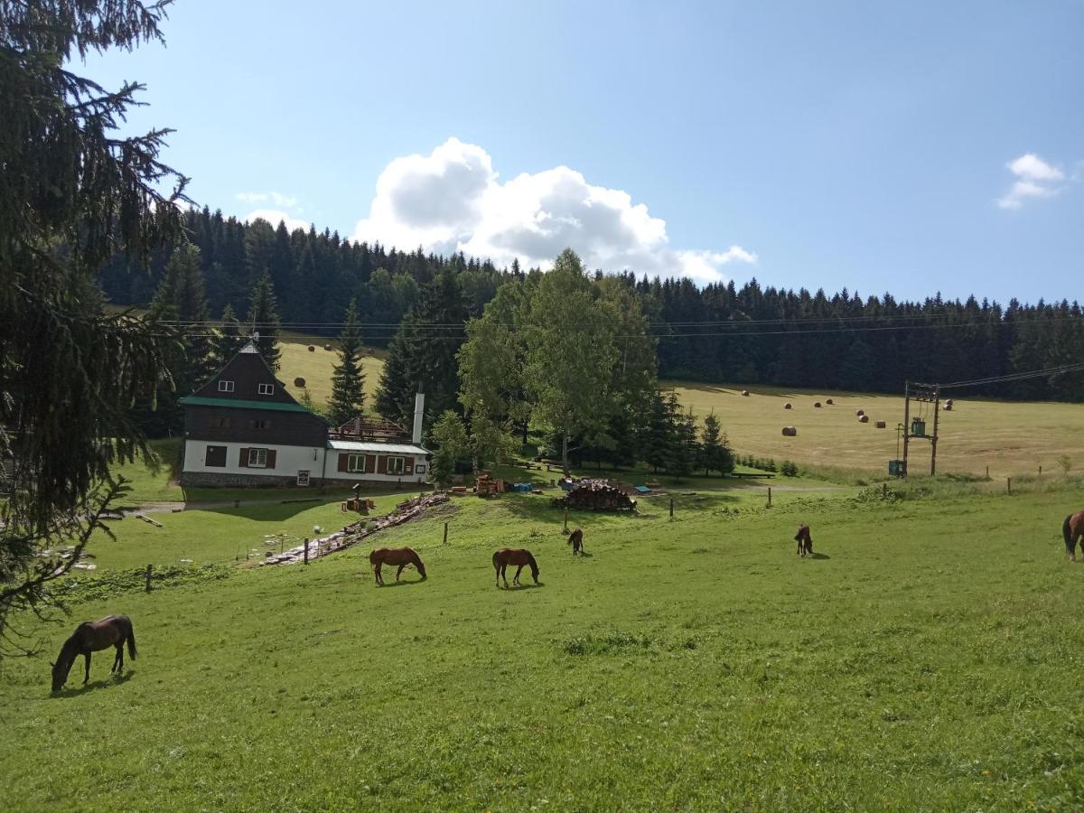 Penzion La Baita Branná Kültér fotó
