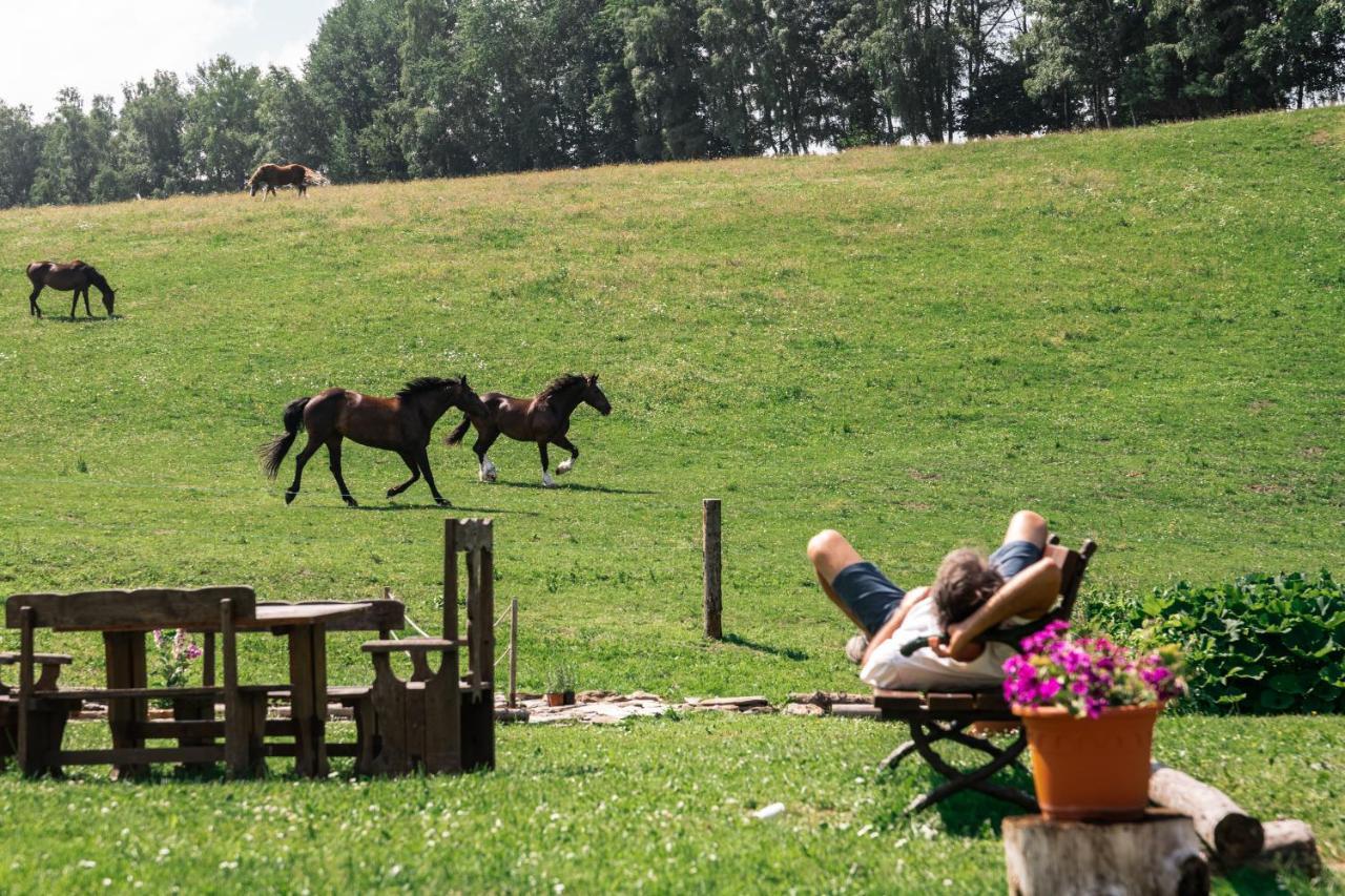 Penzion La Baita Branná Kültér fotó